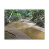 Tropical Creek Canvas Print — Matte Stretched Wall Art (Multi-Size) - El Yunque Rainforest - Puerto Rico - Deep forest explorations