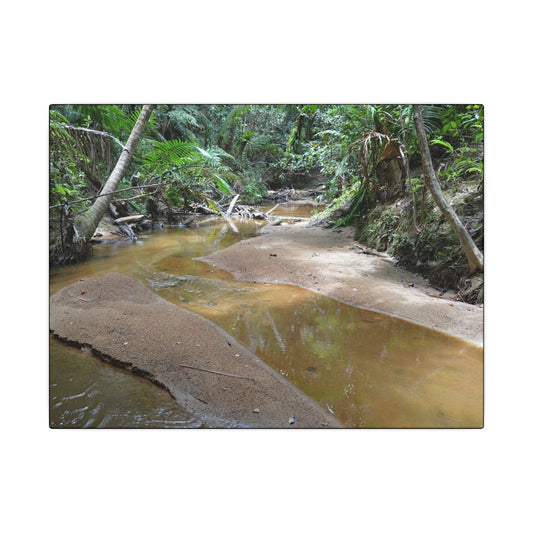 Tropical Creek Canvas Print — Matte Stretched Wall Art (Multi-Size) - El Yunque Rainforest - Puerto Rico - Deep forest explorations