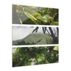 Dense Forest of El Yunque RainForest - Esp. Santo Boulders, Peakview and Sierra Palm cloud forest - Nikon D850 - Triptych Acrylic Print – Panoramic Jungle Wall Aert