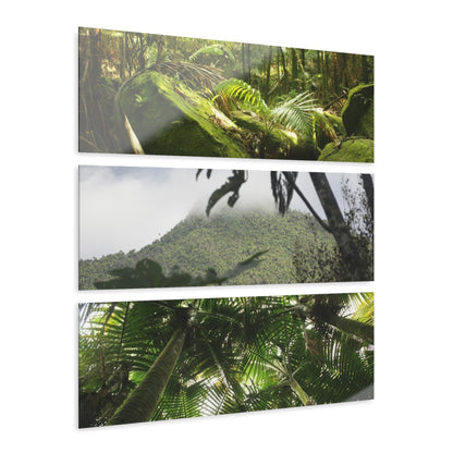 Dense Forest of El Yunque RainForest - Esp. Santo Boulders, Peakview and Sierra Palm cloud forest - Nikon D850 - Triptych Acrylic Print – Panoramic Jungle Wall Aert