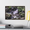Rainforest Trails & Views - Gallery Canvas Wraps, Horizontal Frame - El Yunque National Forest - Puerto Rico - Juan Diego Trail & River - Green Forest Home