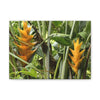 Tropical Heliconia Canvas Print — El Yunque rainforest - Vibrant Jungle Wall Art