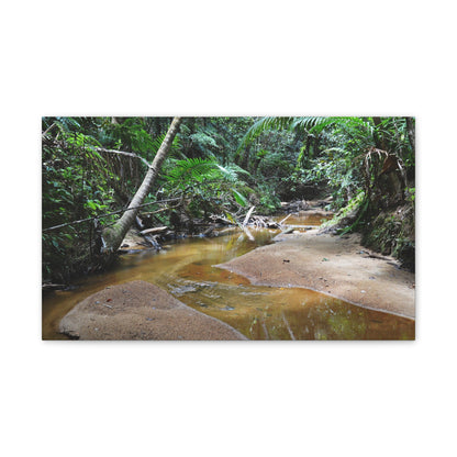 Deep Forest Explorations - El Yunque Holy Spirit River - Nikon D850 - Tropical Creek Canvas Print — Lush Rainforest River Wall Art