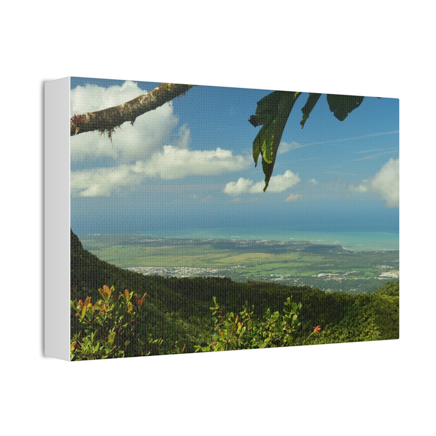Tropical Vista Canvas Print —Awesome view from Tres Picachos Peak -  Stretched 1.5" Wall Art