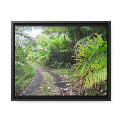 Rainforest Trails & Views - Gallery Canvas Wraps, Horizontal Frame - El Yunque National Forest - Puerto Rico - Closed PR191 road & landlside - Green Forest Home