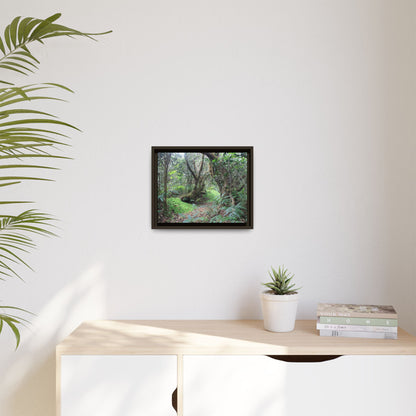Tropical Vista Matte Canvas Framed Wall Art — Magic section of the remote Tradewinds Trail -  El Yunque rainforest PR