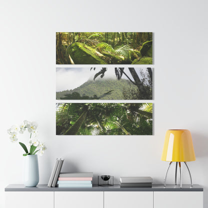 Dense Forest of El Yunque RainForest - Esp. Santo Boulders, Peakview and Sierra Palm cloud forest - Nikon D850 - Triptych Acrylic Print – Panoramic Jungle Wall Aert
