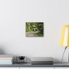 Tropical Road Walk Canvas — Couple with cat and dog in El Yunque - Scenic Nature Wall Art