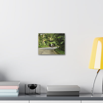 Tropical Road Walk Canvas — Couple with cat and dog in El Yunque - Scenic Nature Wall Art