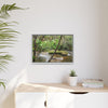 Framed Matte Canvas Wall Art — Tropical Rainforest Roots Photography - View deep in the forest in the Rio Sabana Trail