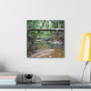 Deep Forest Explorations - El Yunque Holy Spirit River - Nikon D850 - Rainforest Creek Canvas Print — Tropical Jungle Stream Wall Art