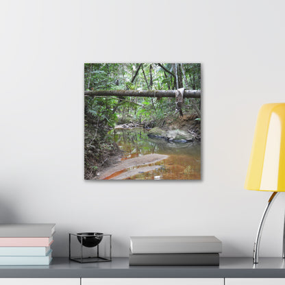 Deep Forest Explorations - El Yunque Holy Spirit River - Nikon D850 - Rainforest Creek Canvas Print — Tropical Jungle Stream Wall Art