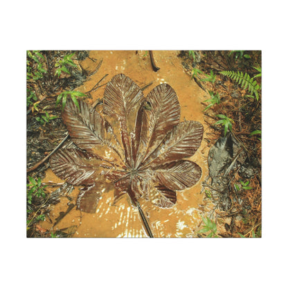 Leaf Wall Art Canvas — Botanical Nature Photography Print - Yagrumo leaf in Tradewinds Muddy Trail - El Yunque Rainforest - Puerto Rico - Deep forest explorations