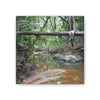 Deep Forest Explorations - El Yunque Holy Spirit River - Nikon D850 - Rainforest Creek Canvas Print — Tropical Jungle Stream Wall Art