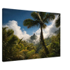 9e379a76-5918-4907-9b78-49a68dd88649