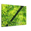 9ec88eca-aa06-4cc5-83f1-e1bdbb81e48c