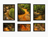 Historic El Yunque Holy Spirit River Explorations #101  - Premium Wooden Framed Poster