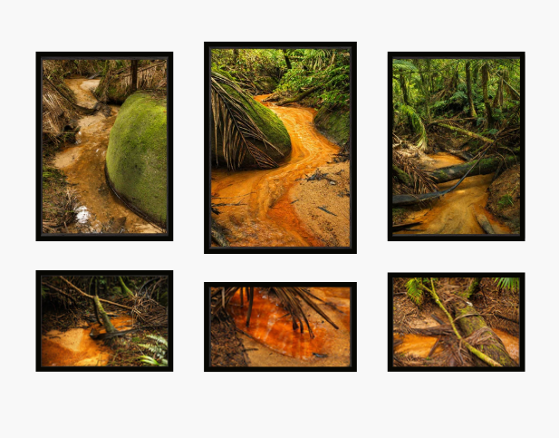 Historic El Yunque Holy Spirit River Explorations #101  - Premium Wooden Framed Poster