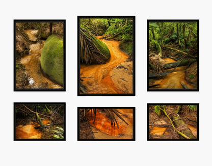 Historic El Yunque Holy Spirit River Explorations #101  - Premium Wooden Framed Poster