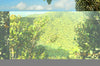 Landscape Photo Block – Desktop Decorative Photo Display - 7'' × 5'' (Horizontal) - Awesome view from Los Picachos in El Yunque Rainforest - Nikon Image