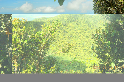 Landscape Photo Block – Desktop Decorative Photo Display - 7'' × 5'' (Horizontal) - Awesome view from Los Picachos in El Yunque Rainforest - Nikon Image