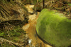 Historic El Yunque Holy Spirit River Explorations #101  - Premium Wooden Framed Poster