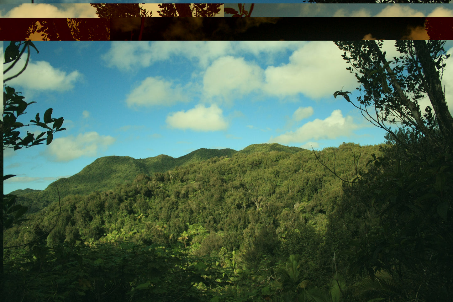Landscape Photo Block – Desktop Decorative Photo Display - 7'' × 5'' (Horizontal) - Awesome view from Los Picachos in El Yunque Rainforest - Nikon Image