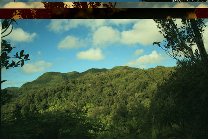 Landscape Photo Block – Desktop Decorative Photo Display - 7'' × 5'' (Horizontal) - Awesome view from Los Picachos in El Yunque Rainforest - Nikon Image