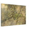 a8a3de2d-df75-4491-bfdc-a8e1c65e6418