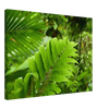 b1c9e37a-b1b2-46c0-a1c8-8af1006b9fb9
