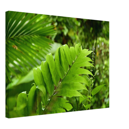 b1c9e37a-b1b2-46c0-a1c8-8af1006b9fb9