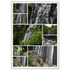 b8046a9d-532d-4b39-a0e8-0f082c3393e4