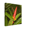 bcc7de5f-e8aa-43d1-909e-dc8594c228d1