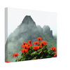 bd7cacaa-e3e2-424d-a90e-5bf8e5a21ab1