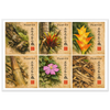 c177b565-3ef6-4d72-80ea-53bb695b89a9
