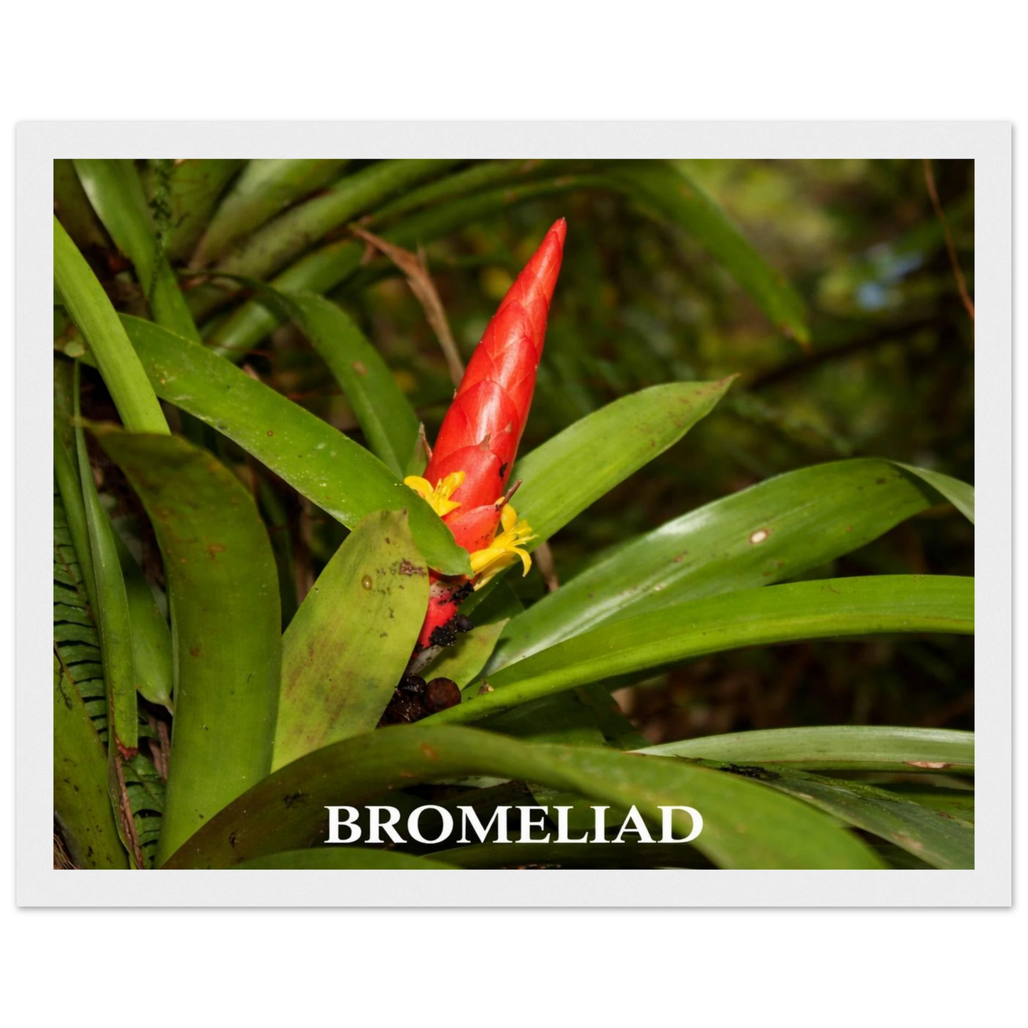 c42afc6c-3594-4b4f-9946-234fc81f015e