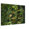 c526745d-0ebc-42fc-9480-03e057636c57