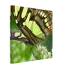 c604b4c0-f9af-447a-9b51-862d67e97fad