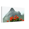 c7889d77-f482-49f8-88fd-9d01ea91a9bd