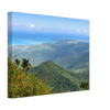c7b01545-686a-4604-a591-f72a9b684a4c
