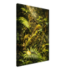 cadfbd54-0861-42db-9d2a-e58953ac78a5