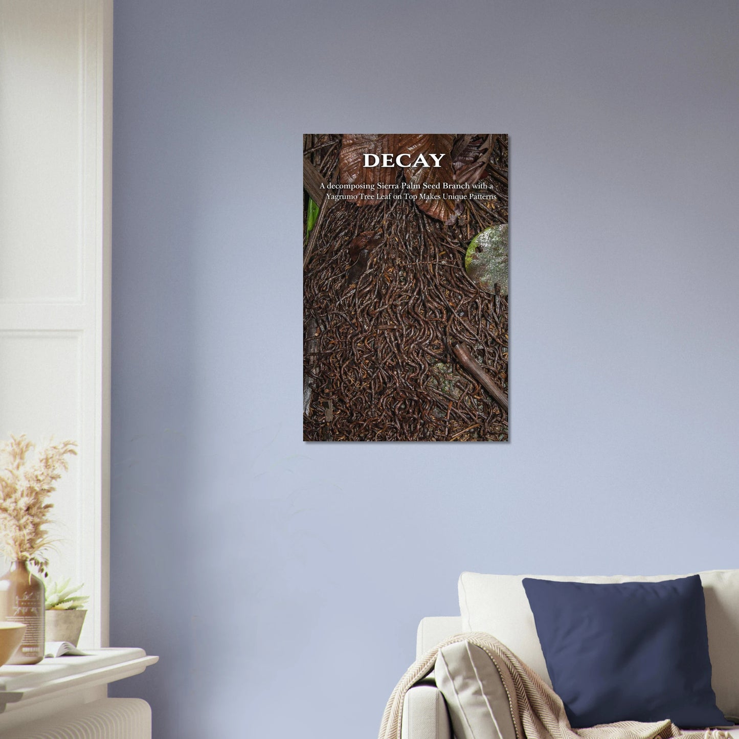 cafaa010-7b64-48f4-ab03-fe4728cd1225