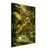d0d9df80-2a0d-4c9a-8669-5ccf453c269b