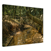 d1a369d9-a571-4f72-99e4-5d56f88f6985