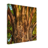 d21be012-d869-4f3c-a34f-40ca2a4e5f4c
