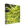 d54e42c4-5ce1-47a5-af03-7c5bd661af55