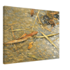 d6258eed-abd2-447f-8477-8f6487466003