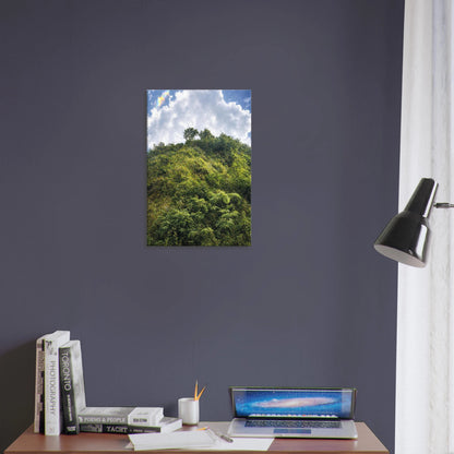 d65ae749-7335-49ff-a624-d02134942f95