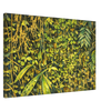 d7eadab9-4f77-4c8e-80d9-b30c51af4dc7