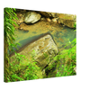 d8f8a2dd-dd1f-47f6-9018-9a008ebb6b5e